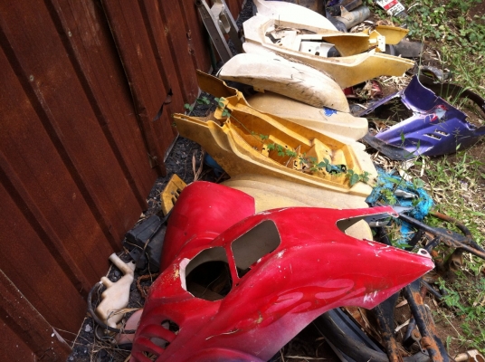 ขายหมาชิสุ ขายหมาชิสุ