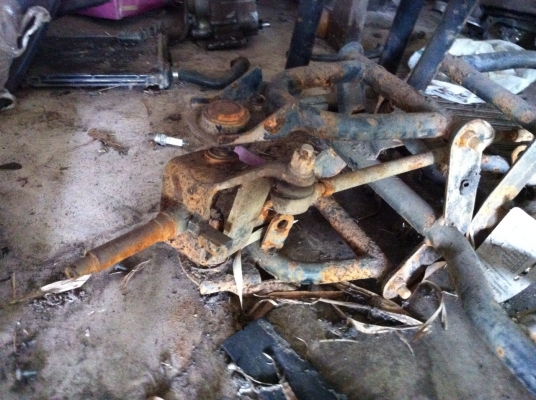 ขายหมาชิสุ ขายหมาชิสุ