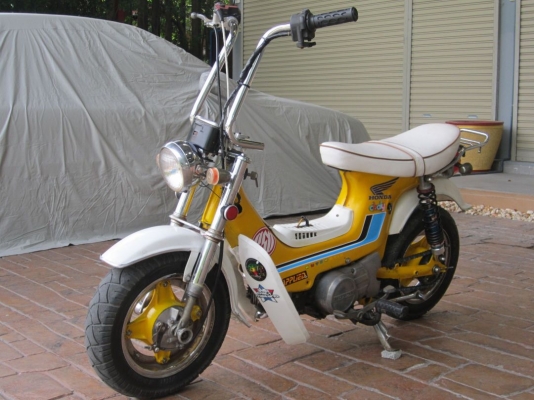 ขายด่วนชาลีแต่งแนวยุ่นเตี้ยๆสวยๆ เครื่องดรีม100 วิ่งกระจาย ออกทริปสบายครับ ราคานี้อย่าพลาดครับ กทม.