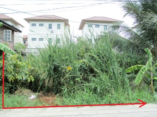 ขายที่ดิน ต.บางศรีเมือง อ.บางกรวย จ.นนทบุรี