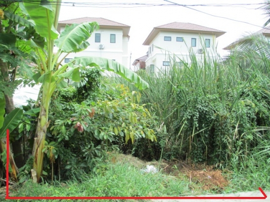 ขายที่ดิน ต.บางศรีเมือง อ.บางกรวย จ.นนทบุรี