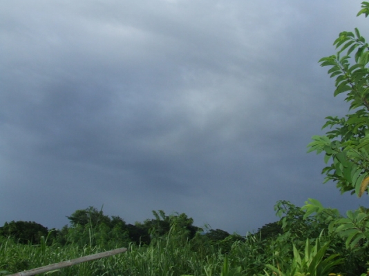 ขายที่ดิน นส3ก แถวเมืองกาญจนบุรี