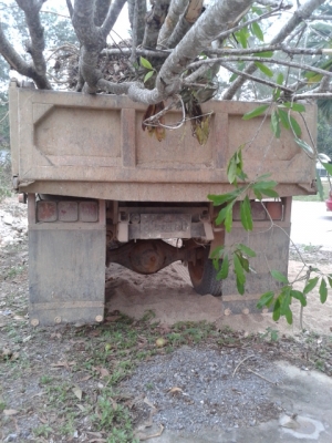 ขายหกล้อดั้มหัวยาวสวยๆ สภาพเดิมๆ