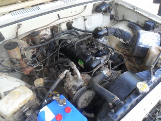 เจ้า HILUX ม้ากระโดด  4 ขอ