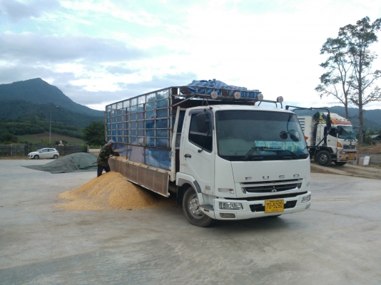 ขายหกล้อ FUSO 6 ล้อ ช่วงยาว 6M. พร้อมกระบะคาร์โก้ FUSO ตัวใหม่ล่าสุด หัวเก๋งก้วาง เครื่องคอมมอนเรล 210 แรง ตัวใหม่ เทอร์โบ อินเตอร์คลูเลอร์ มี AIRBAG เบรคลม ABS แอร์ วิทยุครบ สภาพ 90 \% เรือนไมล์ดิจิตอน LED จอสี หัวเก๋งนิ่ม ช่วงล่างเสริมแหนบแล้วทั้งคัน ยาง