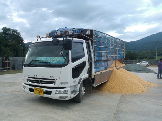 ขายหกล้อ FUSO 6 ล้อ ช่วงยาว 6M. พร้อมกระบะคาร์โก้ FUSO ตัวใหม่ล่าสุด หัวเก๋งก้วาง เครื่องคอมมอนเรล 210 แรง ตัวใหม่ เทอร์โบ อินเตอร์คลูเลอร์ มี AIRBAG เบรคลม ABS แอร์ วิทยุครบ สภาพ 90 \% เรือนไมล์ดิจิตอน LED จอสี หัวเก๋งนิ่ม ช่วงล่างเสริมแหนบแล้วทั้งคัน ยาง