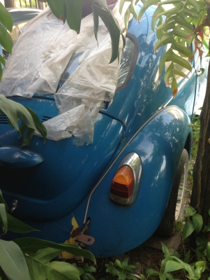 ขายซาก โฟล์คเต่า รุ่น 1302 ปี71