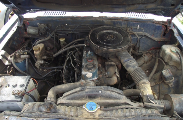 ขายถูกๆคับ