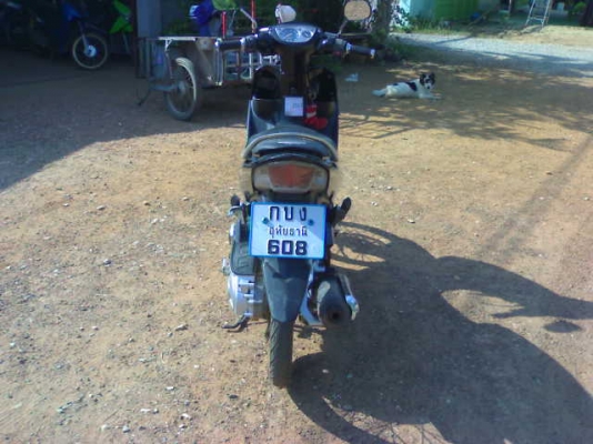 นูโวปี49