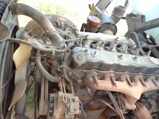 ขายรถ6ล้ออีซูซุร็อกกี้ดั้ม175แรง สภาพดีพร้อมใช้งานคับ