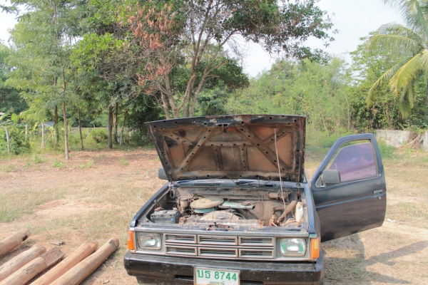 ขายด่วน   big m