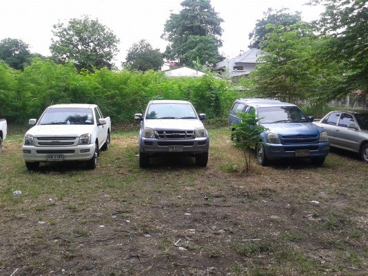 ขายตัดตามสภาพ ขายตัดตามสภาพ