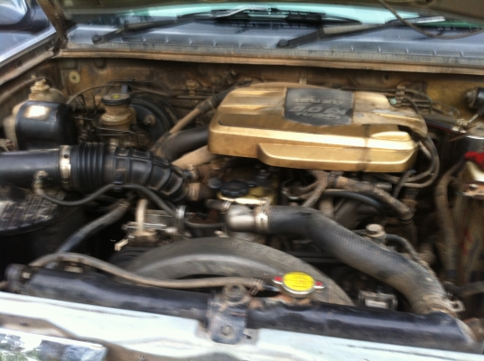 ขายตัดตามสภาพ ขายตัดตามสภาพ