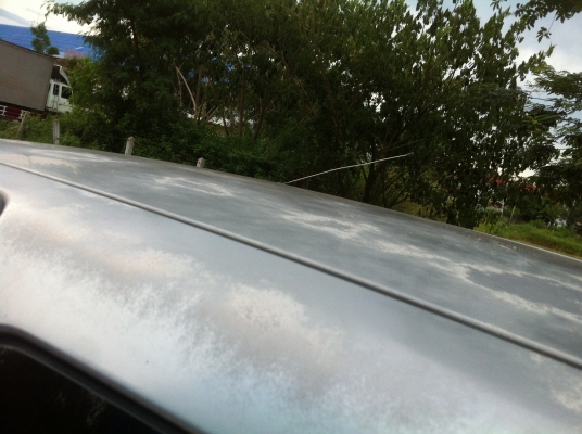 ขายตัดตามสภาพ ขายตัดตามสภาพ