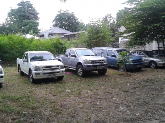 ขายตัดตามสภาพ ขายตัดตามสภาพ