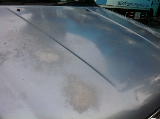 ขายตัดตามสภาพ ขายตัดตามสภาพ