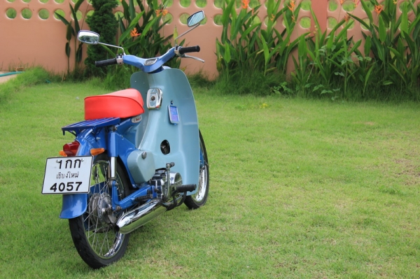 C100 โครงแท้ เครื่องดรีม แต่งsuper cub ทะเบียนเต็มโอน C100 โครงแท้ เครื่องดรีม แต่งsuper cub ทะเบียนเต็มโอน