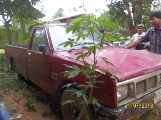 ขายกระบะตอนเดียวISUZU  DESEL   KB ตอนเดียว