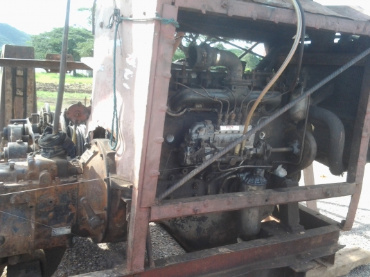 ขายปั้นจั่นสภาพดี