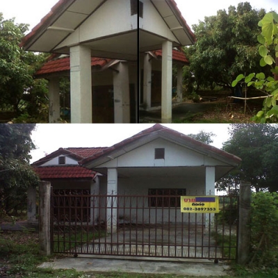 ขายบ้านพร้อมที่ดิน บ้านชั้นเดียว เนื้อที่ 2 งาน ป่าซาง ลำพูน