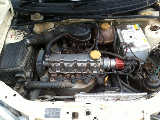 ขายโอเปิ้ล เล็กๆน่ารักๆครับผม ด่วนๆๆลดราคาครับ ร้อนๆๆตัง ขายโอเปิ้ล เล็กๆน่ารักๆครับผม ด่วนๆๆลดราคาครับ ร้อนๆๆตัง