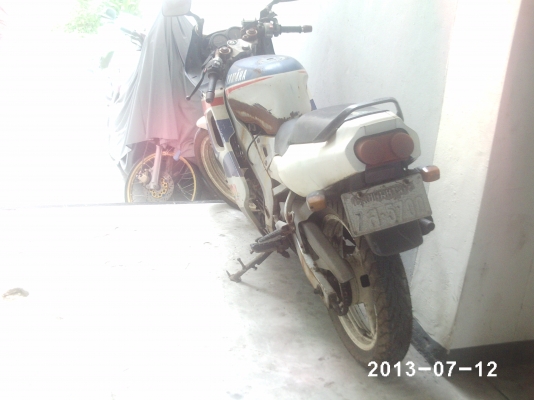 TZM ขายถูก