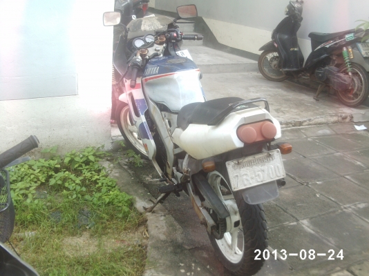 TZM ขายถูก