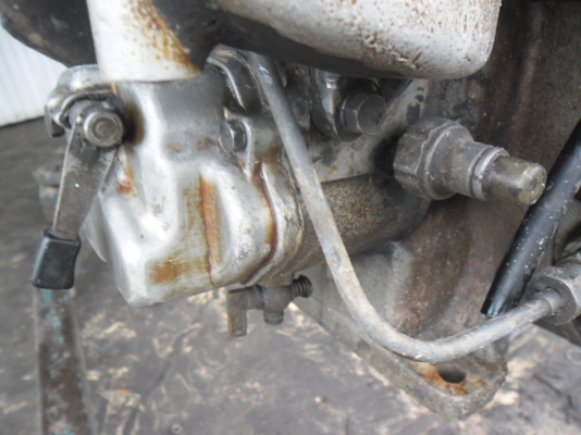 จัดให้ครับ สูบน้ำ ช๊อตหนู คุ้มมมมมม