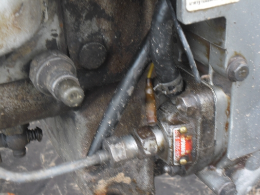 จัดให้ครับ สูบน้ำ ช๊อตหนู คุ้มมมมมม