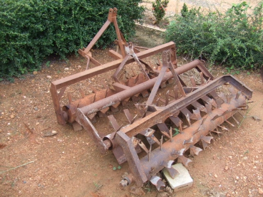 ขาย ขลุบ