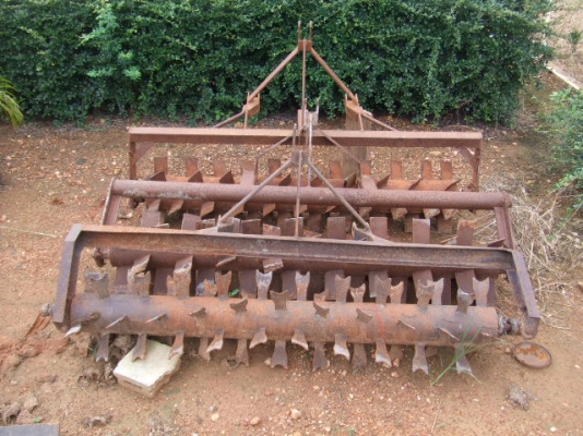 ขาย ขลุบ