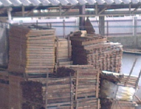 ขายพาเลทไม้ ตามมาตรฐาน IPPC ลังไม้ ทึบ โปร่ง และแพคสินค้า ขายพาเลทไม้ ตามมาตรฐาน IPPC ลังไม้ ทึบ โปร่ง และแพคสินค้า