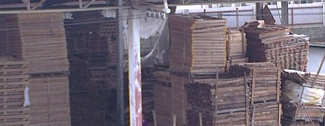 ขายพาเลทไม้ ตามมาตรฐาน IPPC ลังไม้ ทึบ โปร่ง และแพคสินค้า ขายพาเลทไม้ ตามมาตรฐาน IPPC ลังไม้ ทึบ โปร่ง และแพคสินค้า