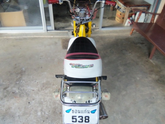 ขายชาลีทะเบียนแท้