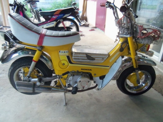 ขายชาลีทะเบียนแท้