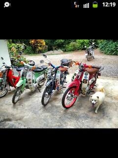 ขายด่วนๆ Honda c 70  สวยๆ เครื่อง LiFan 125 ไดร์ล่าง สตาร์ทมือ ต้องการเงินด่วน