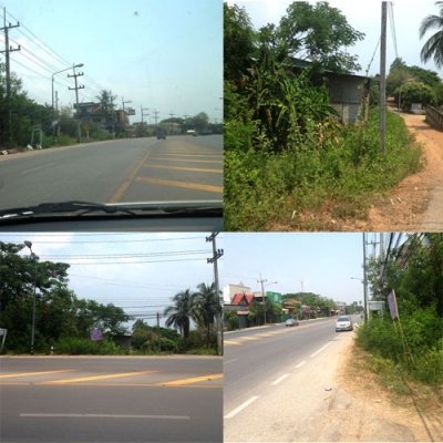 ขายที่ดินเปล่าที่สันป่าตอง เชียงใหม่ ทำเลสวย ไกล้หน่วยต้นไม้