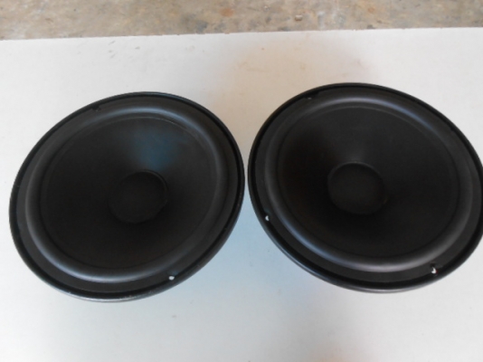 ลำโพง 10 นิ้ว ADS