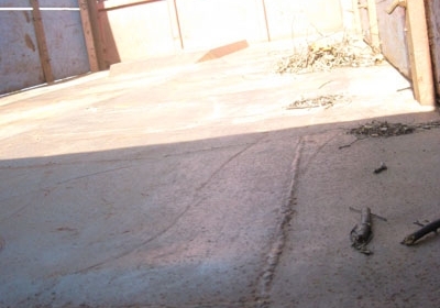 ขาย Roc super 240F สองเพลาดั้มพ์ พร้อมใช้ โทร 088-4501277