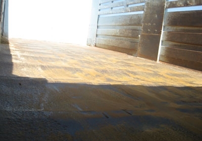 ขายนางฟ้า 195 สิบล้อสองเพลาดั้มพ์ สวยจองด่วนครับ โทร 088-4501277