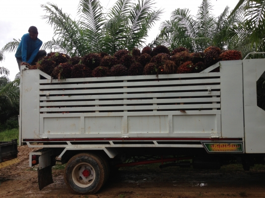 ขายรถอีแต๋น ดั๊มพ์ + รถไถนาเดินตาม Kubota ET95 หางสยาม NC131