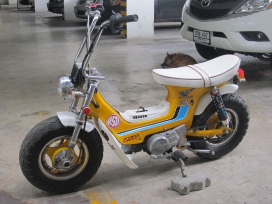 ร้อนแล้วขายด่วน !ชาลีเท่ๆ &ldquo;เตี้ย ล้อโต&rdquo; สไตล์จิ๊กโก๋ยุ่น เครื่องดรีม100 วิ่งกระจาย กทม.