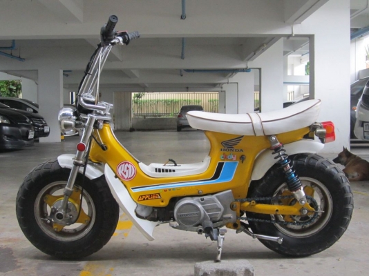 ร้อนแล้วขายด่วน !ชาลีเท่ๆ &ldquo;เตี้ย ล้อโต&rdquo; สไตล์จิ๊กโก๋ยุ่น เครื่องดรีม100 วิ่งกระจาย กทม.