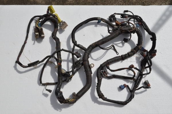 สายไฟ ECAR