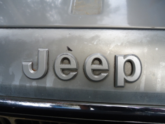 ขาย JEEP CHEROKEE 2.5 (2,500CC) MANUAL ปี97 สภาพดีเครื่องแน่นๆครับ เครื่องเดิมๆ พร้อมใช้งานครับ แอร์เย็นๆ ระบบไฟฟ้าใช้ได้หมดครับ ไม่เคยติดแก๊สครับ อยู่เชียงใหม่ ยางสี่เส้นใหม่ๆเลยครับ และสายพานใหม่ๆครับ ดูแลรักษาเครื่องยนต์ตลอด