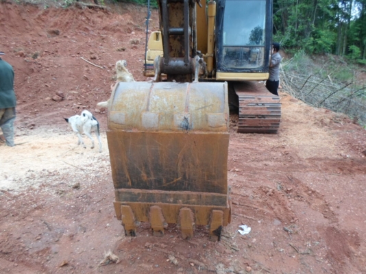 ขายแบ็คโฮ CAT 311B  สภาพพร้อมใช้งาน เอกสาร อินวอย