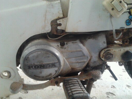 ขายดรีม คุรุสภา ไม่มีทะเบียน ออกใบซื้อขายให้ ราคาถูก ครับ ขายดรีม คุรุสภา ไม่มีทะเบียน ออกใบซื้อขายให้ ราคาถูก ครับ