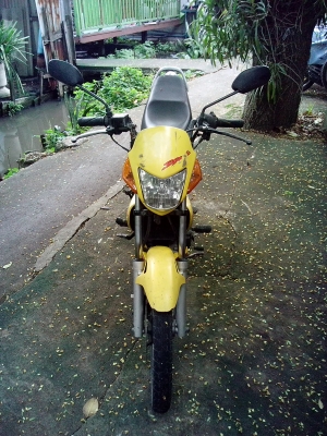 ขายโชนิกตัวเก่า