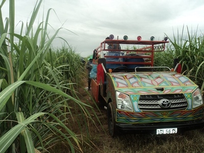 ขอบคุณ truck 2 hand ครับที่ทำไห้ผมมีช่องทางขายรถครับ ขอบคุณ truck 2 hand ครับที่ทำไห้ผมมีช่องทางขายรถครับ