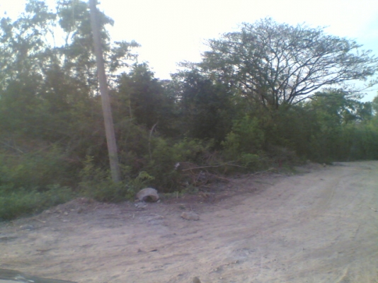 ขายที่ดิน อ.เมืองสระบุรี